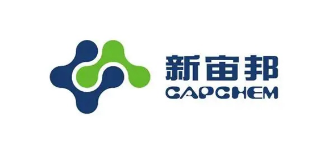 新能源行业猎头公司推荐  新宙邦公司.png