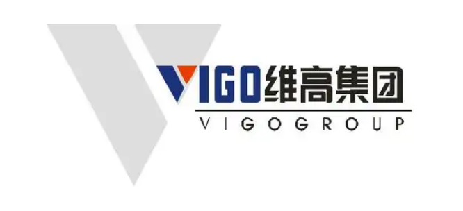 维高汽车集团.png